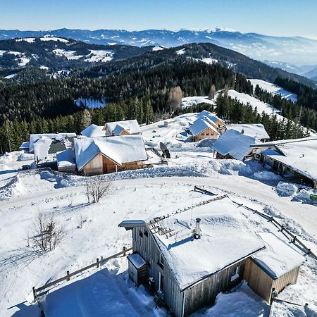 1A Chalet Eck - Wandern, Grillen, Panorama Sauna! Klippitztorl 外观 照片